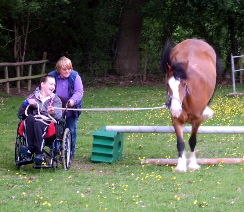 Disabled horse owners?